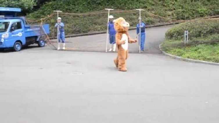 "Лъв" избяга от японски зоопарк... И стана хит в интернет