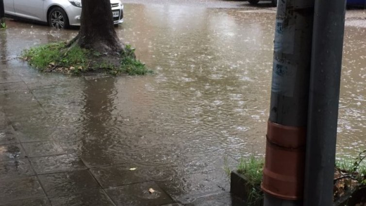 Helpbook сигнали: Силна музика, агресивни кучета, наводнена улица