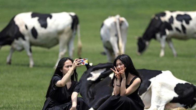 Денят в снимки - 27 юни