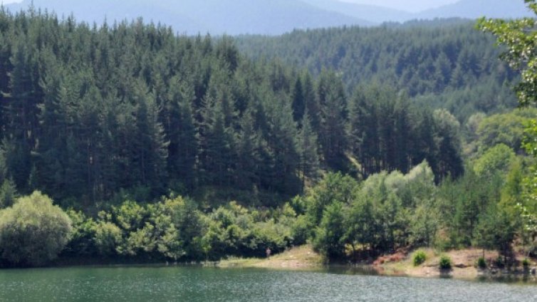 Тяло на мъж изплува в язовир "Дренов дол" край Кюстендил