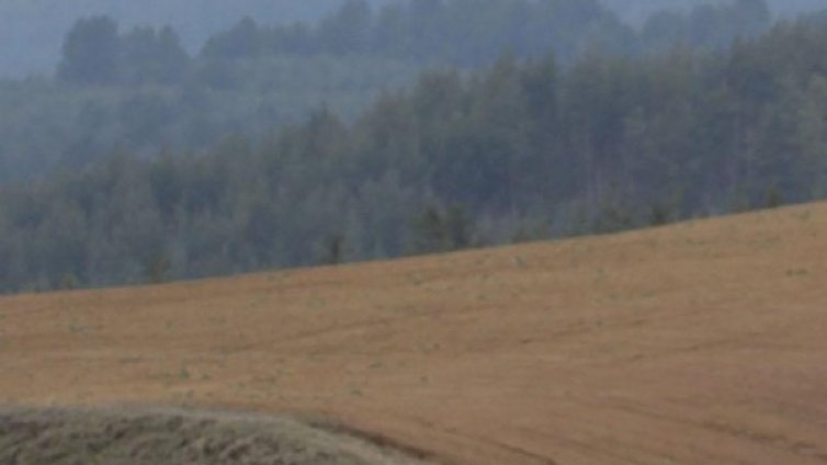 Чудо в планината: 77-годишен оцеля 5 дни без храна в Балкана