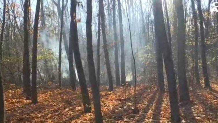 Висока опасност от пожари край Добрич