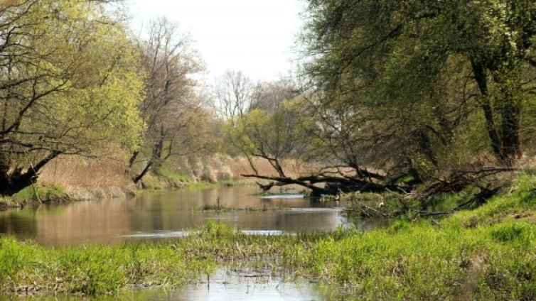 12-годишно момче се удави в река Вит