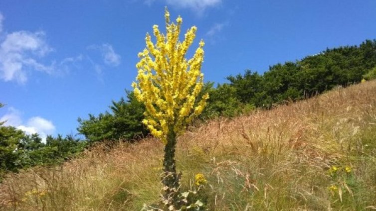 Валежите постепенно спират, времето остава хладно за юли