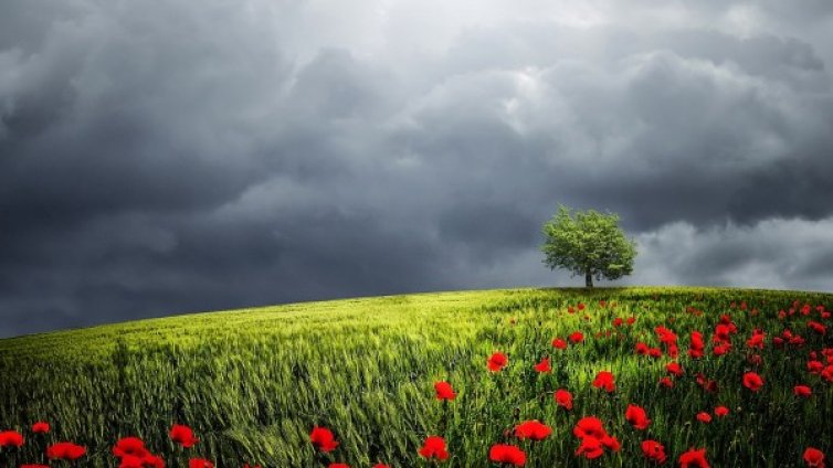 Слънце, облаци и дъжд в петък, градусите около 23