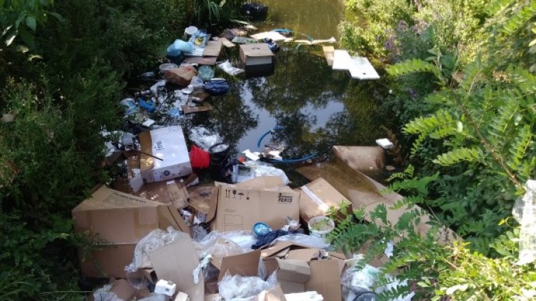 Изоставени коли и безразборно изхвърляне на боклук: Сигналите в HelpBook