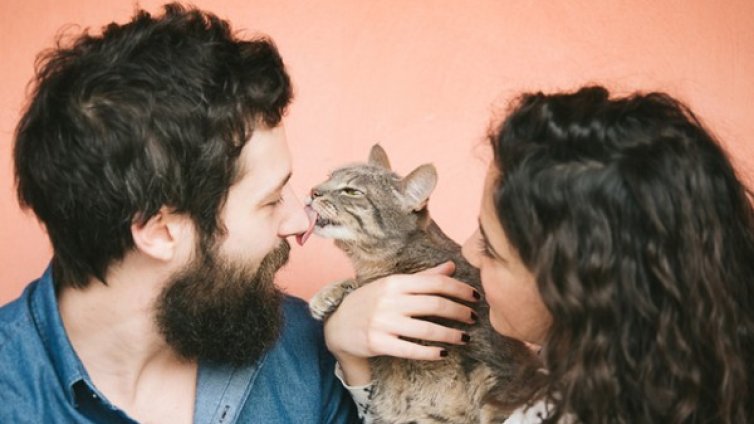  4 случая, в които котките ближат стопаните си 