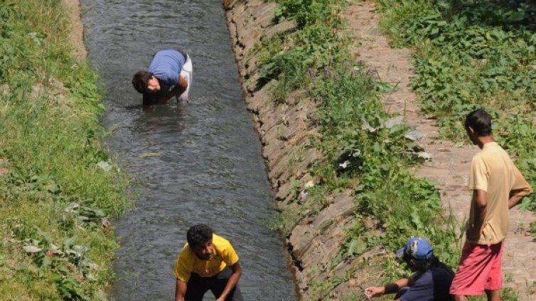 Треска за злато: По половин грам на ден вадят златотърсачи от Искър