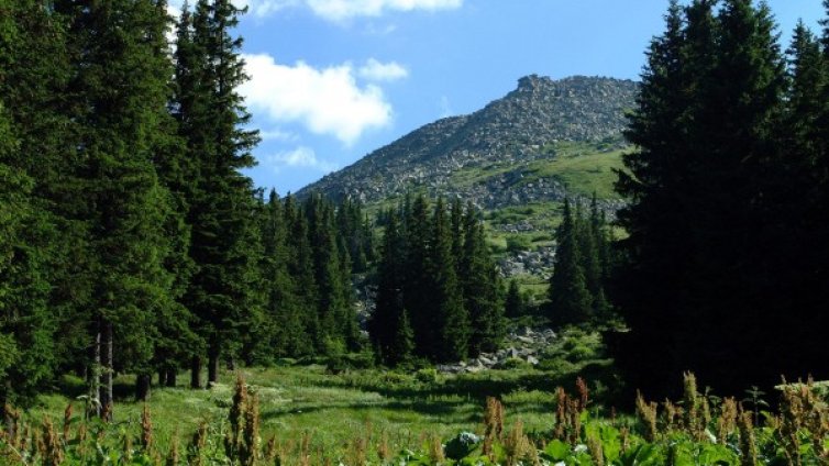 Отново жега: Температурите ще стигнат до 37&deg; С