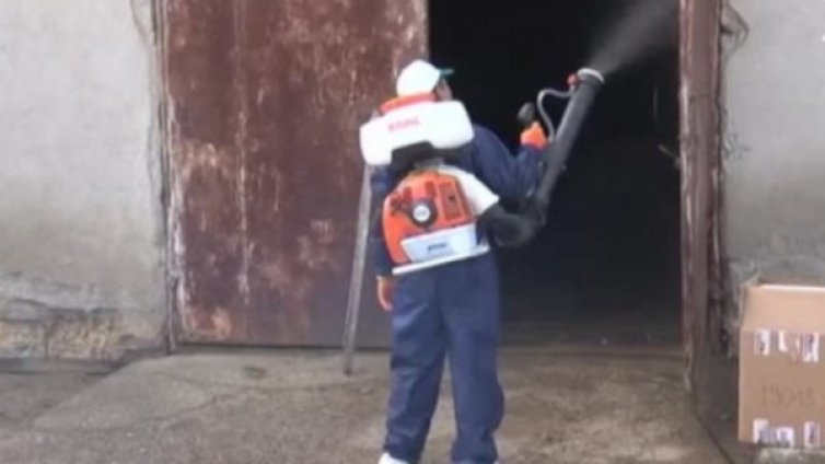 Отменят бедственото положение заради чумата в Свищов?