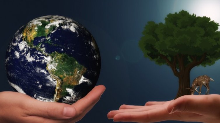 Човешката намеса - отговорна за промените в екосистемите