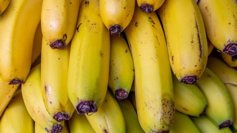 Откриха 75 кг кокаин в 20 хиляди кашона с банани в Бургас 