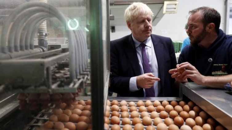 Brexit без сделка? Ще има недостиг на храна, лекарства...