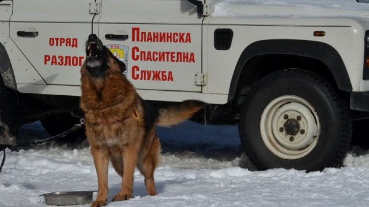 Спасиха бедстващи туристи в Пирин 