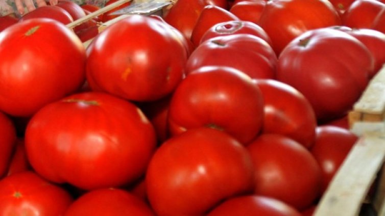 Ядем турски и гръцки домати, нашите отиват в Унгария