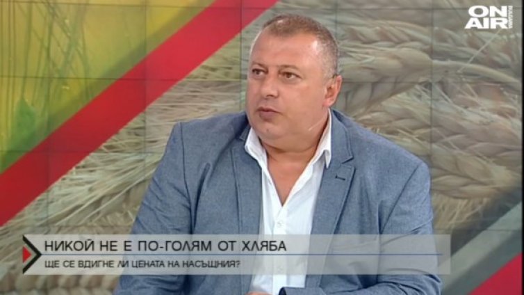 Над 70% от зърнената реколта годна за производство на хляб