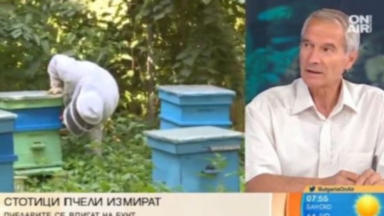 Пчелари на бунт, искат спешни действия от държавата