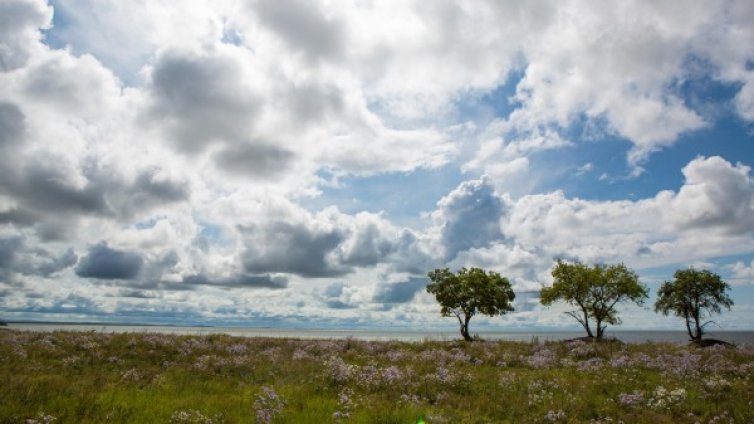 Денят в снимки - 30 август