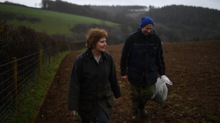 На Острова притеснени, няма българи и румънци да прибират реколтата
