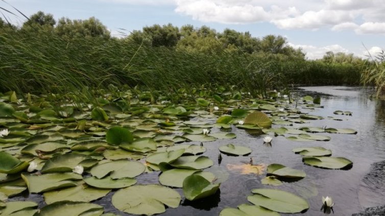 Хубавото време продължава, утре пак ще е слънчево