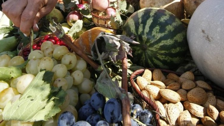 "Празник на плодородието" ще се проведе в Кюстендил 