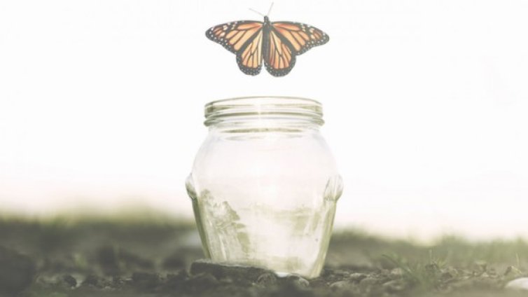 Петте споразумения на дон Мигел Руис за повече щастие 