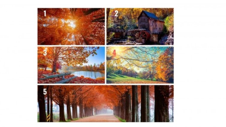 Изберете пейзаж и вижте каква есен ви очаква