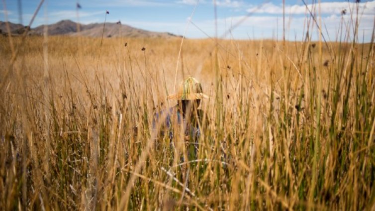 Заради климатичните промени &ndash; 1,5 млрд. мигранти. Къде ще отидат? 