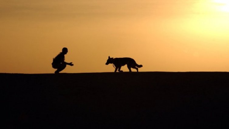 Стопанина - като кучето. Как се получава?