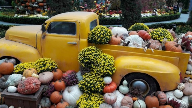 4 зодии, които ще имат вълшебен октомври