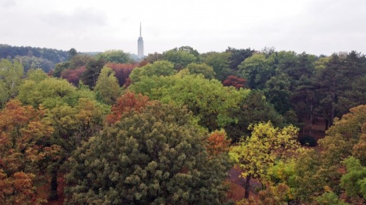 Златна есен в четвъртък: Тихо, топло, слънчево