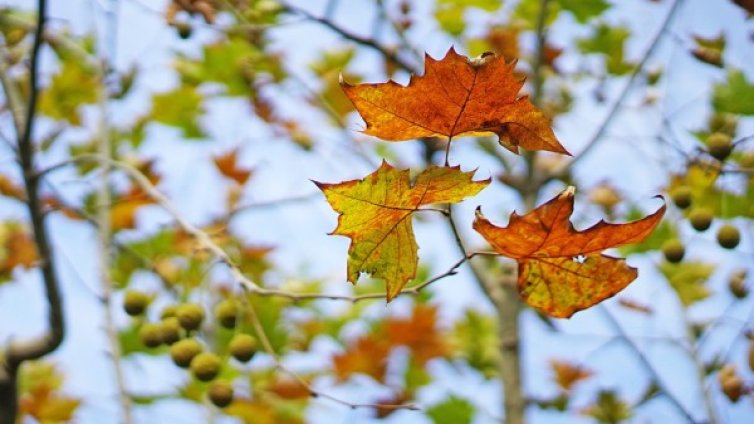 Времето днес: Градусите се качват още, стигат до 26