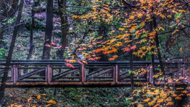 Чудна есен: Слънчево, топло, с температури до 25&deg;