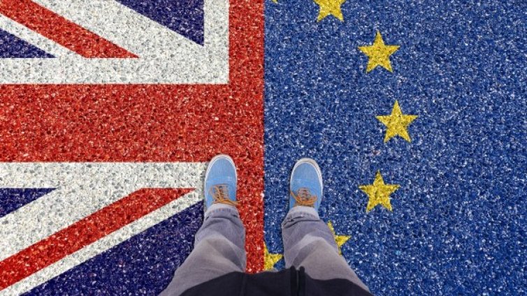 Весела Чернева: Хаосът с Brexit ни направи проевропейци 