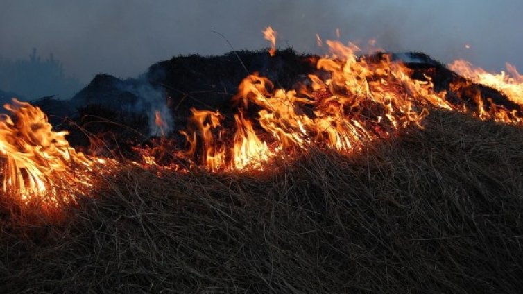 Горят над 1000 декара сухи треви край самоковско село 