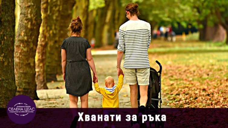 7 въпроса за стволовите клетки - как да направим информиран избор
