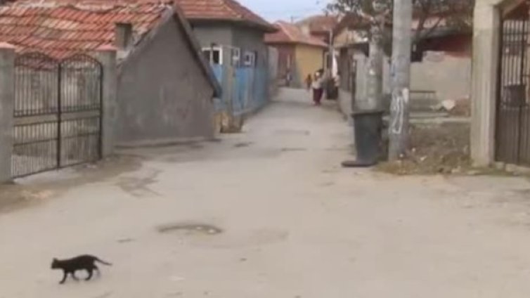 Над 140 хиляди - към урните утре в Русе