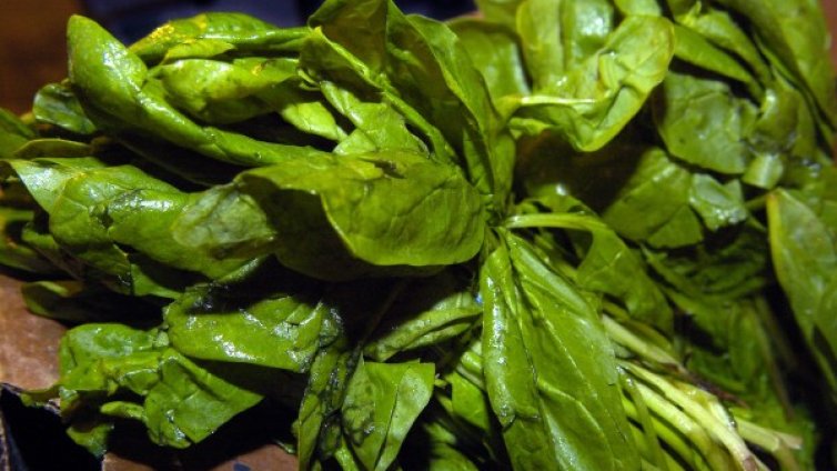 Над 40 души се отровиха със спанак в Истанбул