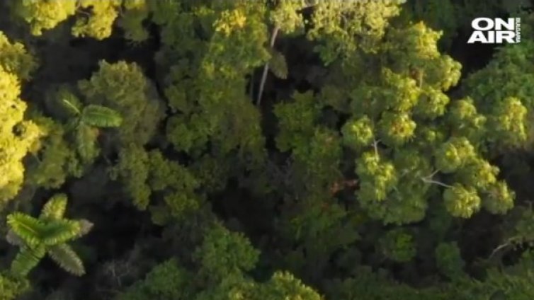 Изминалият октомври бил най-топлият в историята