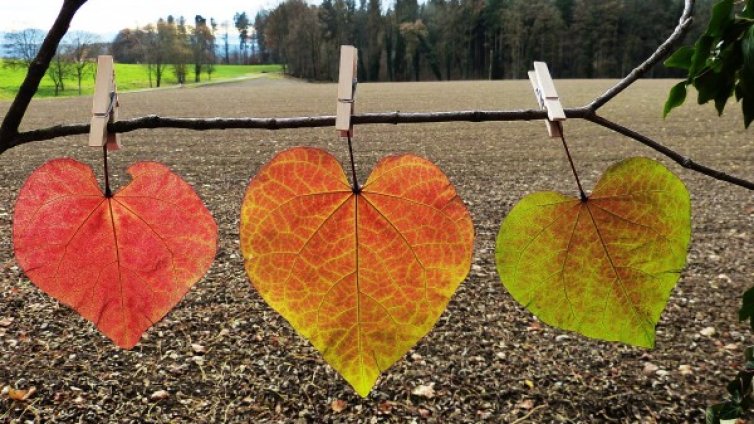 Какво ви очаква в любовта тази седмица?