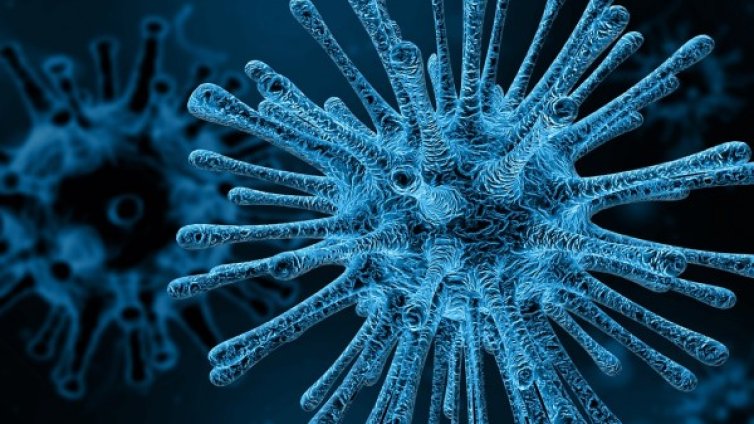 Черната смърт пак е тук: Двама с чума в Китай