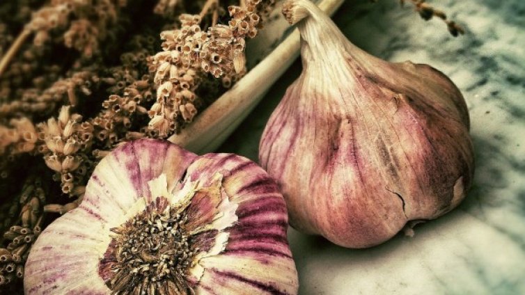 Чесънът: Тайната за по-дълъг живот