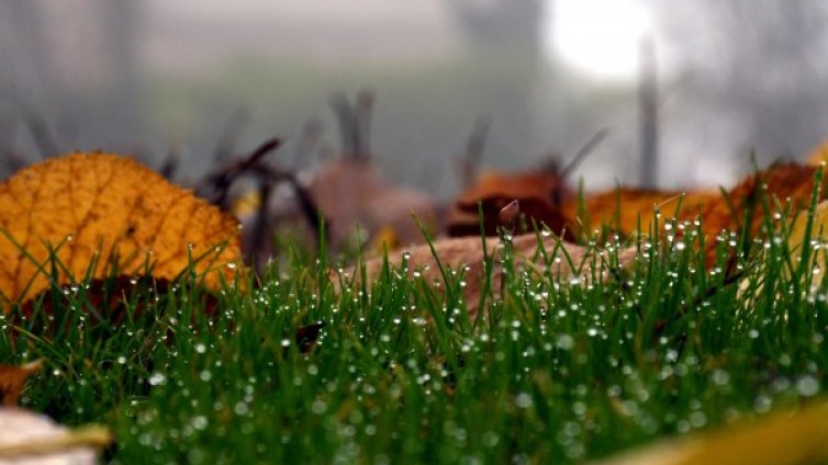 Облаци, плахо слънце, някъде и дъжд - времето утре