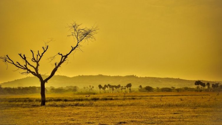 2019-а се нареди сред трите най-горещи години
