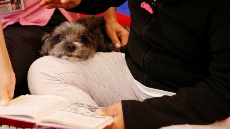 Кучето &ndash; мотиватор: Децата четат повече с четириного в стаята