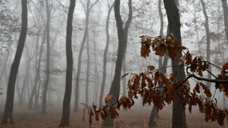 Времето в четвъртък: Пак облаци, мъгли, на места и ще вали 