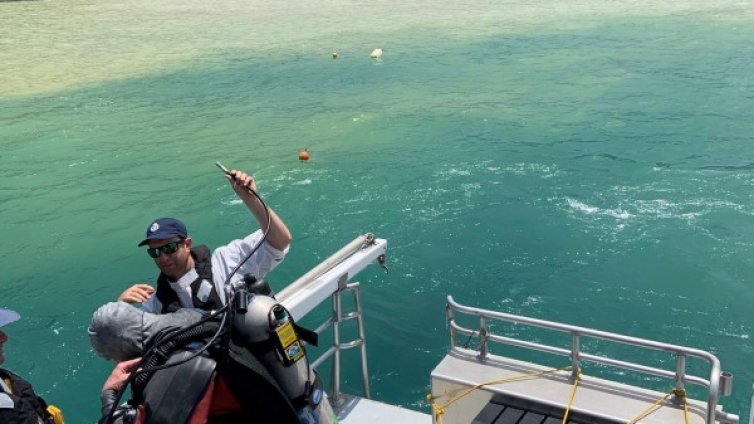 Спасители продължават да издирват хора на о. Уайт