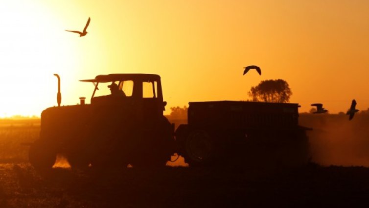 Холандските фермери срещу еко мерки на държавата