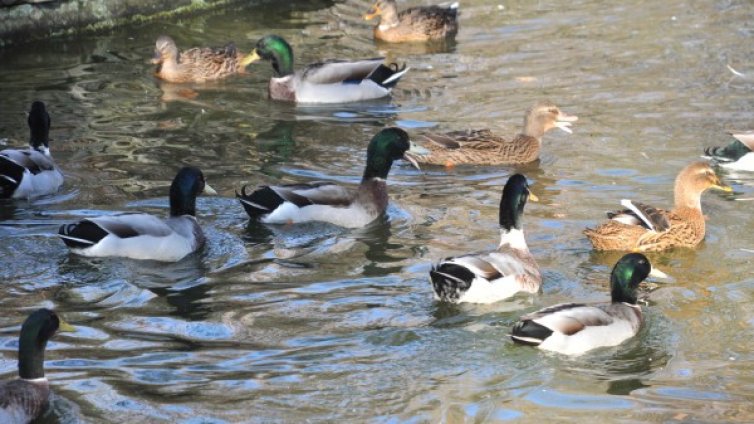 В четвъртък времето ще е ясно, тихо, необичайно топло