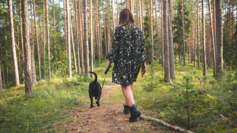 Колко калории горят мъжете и жените на ден?